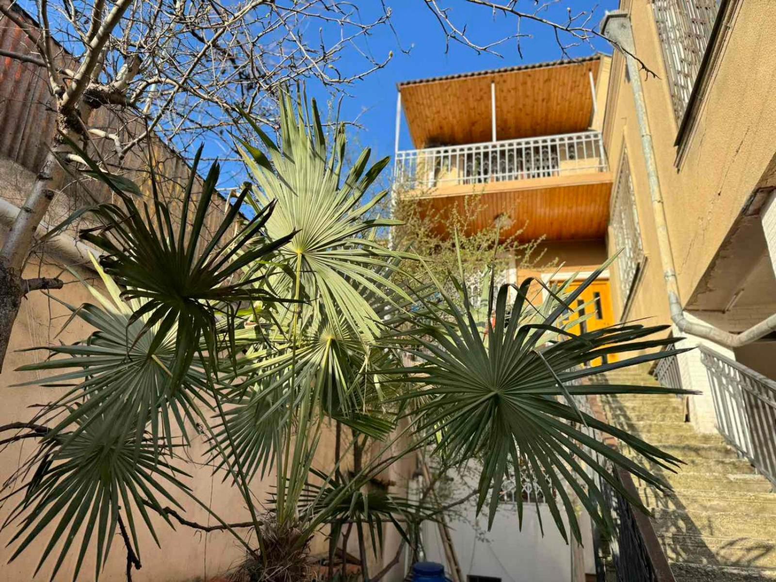 K&N Guesthouse Tbilisi Eksteriør bilde